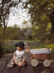 Handmade Wicker Pram Stroller Toy Trolley, Doll Carrier