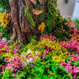 Handmade Mother Earth Terrarium Millennial Gaia Statue, Pagan Ornament - thumbnail 4