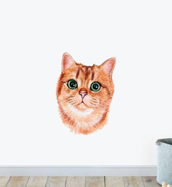 Pumpkin The Purr Machine Cat Wall Sticker Decal - Dogs & Pets Stickers, Art, Decals, Kids Animals Decals
