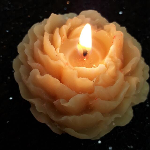 Peony Flower Beeswax Set Of 3 Candles/ Bee Wax Candle /Naturally Scented / - image 1