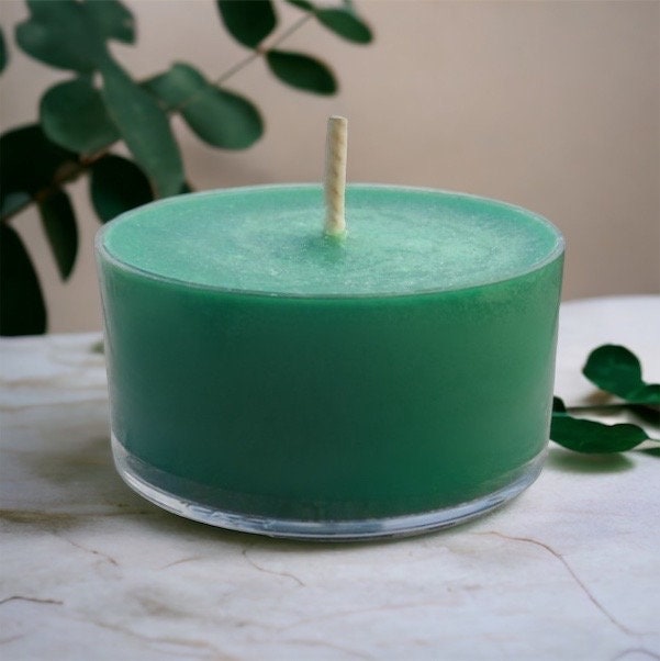 Eucalyptus Scented Soy Candle Tealights Rustic Home Decor - image 1