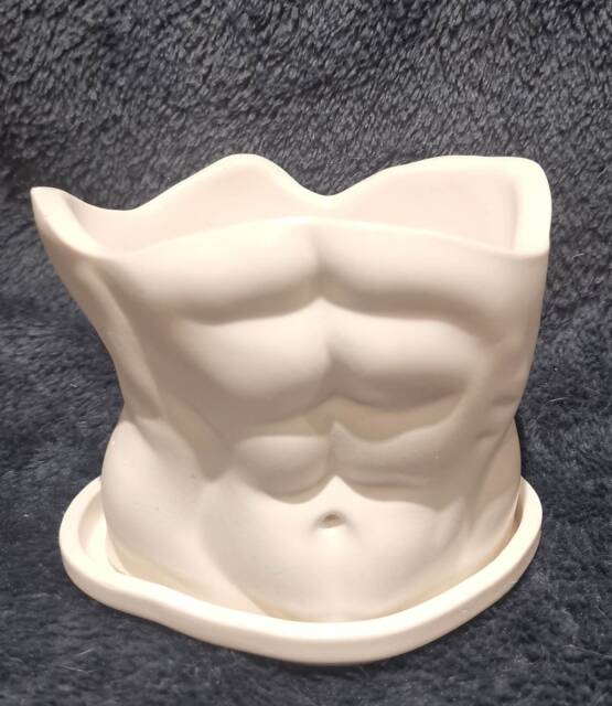 Handmade Male Torso Planter Jesmonite Abs Organizer Pot -Man Body Planter - image 1