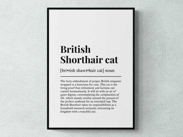 British Shorthair Cat Funny Definition Wall Art Print - image 1