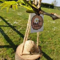 Bird Feeder Wood Slice Fat Ball - Hanging Natural Log Bird Food Environment Garden Gift Set Christmas Watching Gardener - thumbnail 3