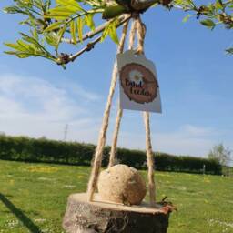 Bird Feeder Wood Slice Fat Ball - Hanging Natural Log Bird Food Environment Garden Gift Set Christmas Watching Gardener - thumbnail 2