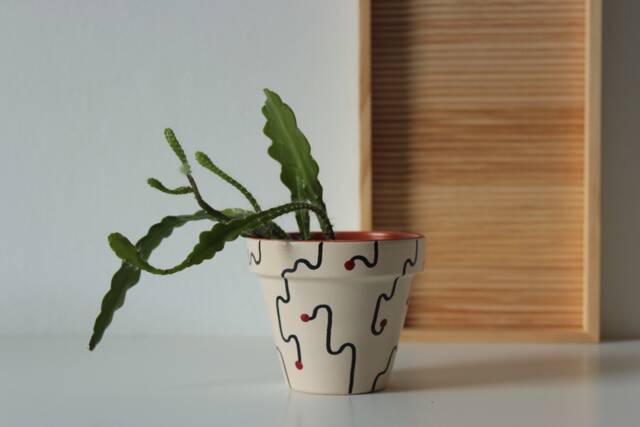 Hand Painted Terracotta Plant Pot For Houseplants - Customisable With Drainage & Saucers To Match Great Gift Idea - image 1