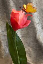 "Alice in Wonderland - NonTalking Flowers ""Bread & Butterflies Kissing The Tulips Pink" - thumbnail 2