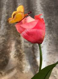 "Alice in Wonderland - NonTalking Flowers ""Bread & Butterflies Kissing The Tulips Pink" - thumbnail 3