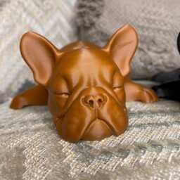 Sleeping French Bulldog Articulated Model - thumbnail 4
