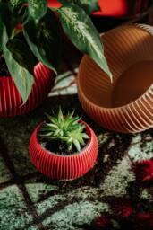 Small Planter 71P01.120.red/3D Printed Plant Pot Ecofriendly & Geometric Minimalist Modern