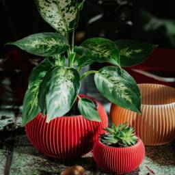 Small Planter 71P01.120.red/3D Printed Plant Pot Ecofriendly & Geometric Minimalist Modern - thumbnail 2