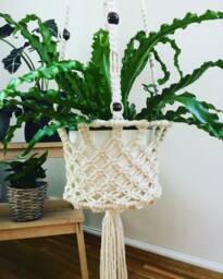 Nested Aster