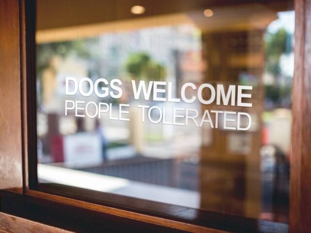 Dogs Welcome People Tolerated Window Sticker Pet Shop Home Vinyl Decal - image 1