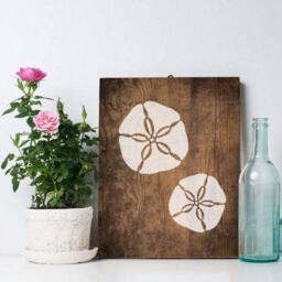 Sand Dollar Stencils - Wall Art Stencil Instead Of Decals Easy To Use Wall For A Quick Room Update Nautical Walls - thumbnail 1