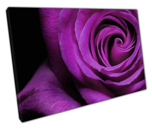 Elegant Purple Rose Canvas Print Ready-To-Hang Floral Wall Art For Home & Office Decor - image 1
