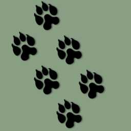 Wooden Leopard Footprints- Set Of 6 - Personalised Leopard Sign Animal Footprints Safari Theme Decor- Wall Art- Footprint Decor - thumbnail 1
