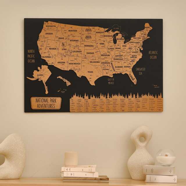 National Park Usa Map Apartment Decor, Travel With Pins 5Th Anniversary Gift Wall Hanging, Push Pin Wooden Art Home Improvement - image 1