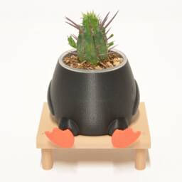 Duck On A Bench Plant Pot 3D Printed Cute Animal Planter Home Decor Accessory Cactus Succulent Indoor Holder Birthday Gift - thumbnail 3
