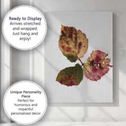 Vintage Autumn Leaves Botanical Illustration On White Background Canvas Wall Art Print Decor Picture Ready To Hang - thumbnail 3