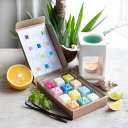 Citrus & Summer Wax Melts Selection Box With Recipe Card Melt Snap Bars 100% Natural Soy Wax Tea Light Candle Oil Burner Home Fragrance - thumbnail 1