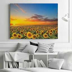 Blooming Sunflowers Canvas Print, Sunset Landscape, Floral Wall Art - thumbnail 2