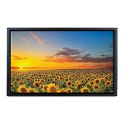 Blooming Sunflowers Canvas Print, Sunset Landscape, Floral Wall Art - thumbnail 4