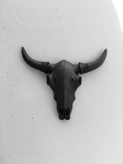 Small Black Cow Skull Wall Decor - Cake Topper Gallery Art Faux Taxidermy - image 1