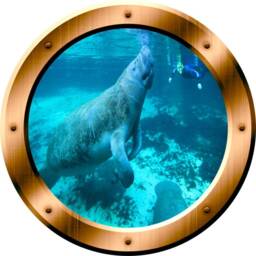 Underwater Manatee Window Porthole Wall Decal Peel & Stick - Vwaq Bp25 - thumbnail 2