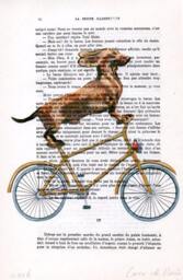 Dachshund On Bicycle Print, Boxer Dog, Digital Pantings By Coco De Paris - thumbnail 3