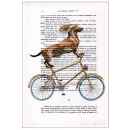 Dachshund On Bicycle Print, Boxer Dog, Digital Pantings By Coco De Paris - thumbnail 2