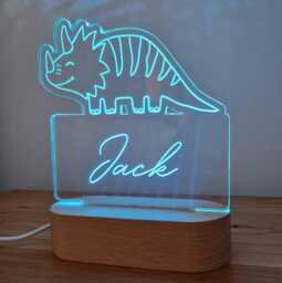 Dinosaur Colour Change Night Light, Personalised Childrens Bedroom Led Lamp, Stegosaurus Decor For Kids, Custom Bedtime Lamp