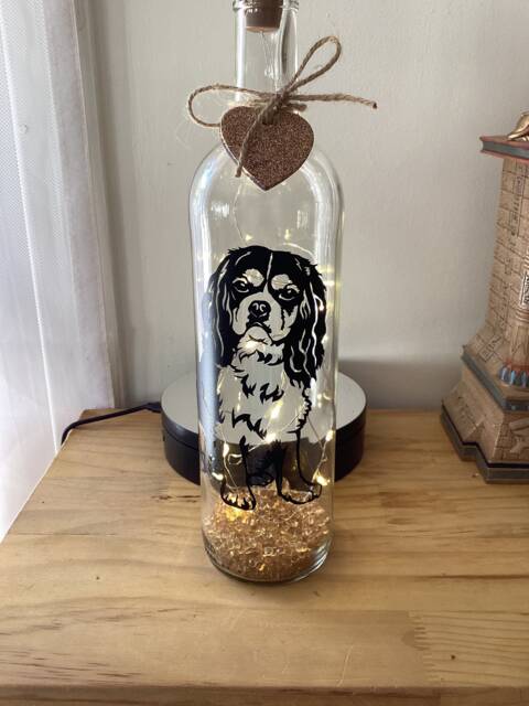 Cavalier King Charles Spaniel Dog Light Up Bottle, Bottle Lamp, Can Be Personalised, Happy Birthday, Free Gift Messaging Service & Bag - image 1