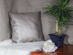 Designers Guild Cushion - thumbnail 1