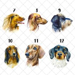 Personalised Dachshund Bauble, Any Colour Real Glitter Name Christmas Tree Pet Luxury Gift Ideas Sausage Dog Lover Owner Miniature Dapple - thumbnail 3