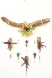 Handmade Succulent Wall Hanging, Air Plant Decor, Cactus Desert Flower Wall, Driftwood Art, Western Wall Decor, Zen - thumbnail 1