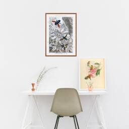 Antique Insect Canvas Print, Bees, Bugs, Butterfly, Kids Room - Rolled - thumbnail 2