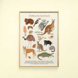 Australian Animals Continent Print - Oz Aussie Australia Kangaroo Koala Wall Art Prints Kids Nursery - thumbnail 1