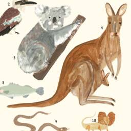Australian Animals Continent Print - Oz Aussie Australia Kangaroo Koala Wall Art Prints Kids Nursery - thumbnail 2