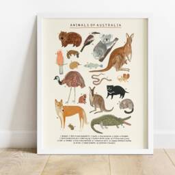 Australian Animals Continent Print - Oz Aussie Australia Kangaroo Koala Wall Art Prints Kids Nursery - thumbnail 3