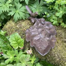 Small Cast Iron Bird On Acorn Leaf Birdbath/Feeder - thumbnail 2