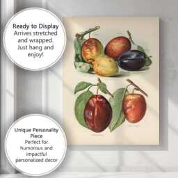 Vintage Botanical Plum Variety Illustration Canvas Wall Art Print Decor Picture Ready To Hang - thumbnail 3