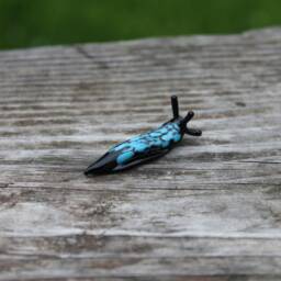 Spotted Slug Glass Sculpture Glass Slug Lampwork Glass Animals Handcrafted - thumbnail 2