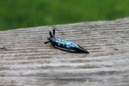 Spotted Slug Glass Sculpture Glass Slug Lampwork Glass Animals Handcrafted - thumbnail 1