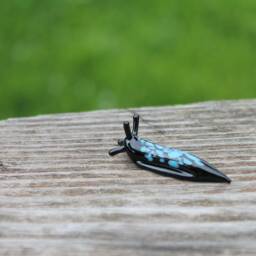 Spotted Slug Glass Sculpture Glass Slug Lampwork Glass Animals Handcrafted - thumbnail 4