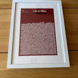 Life On Mars David Bowie By James Earnshaw Genuine Reign/Hail Print Framed White - thumbnail 4
