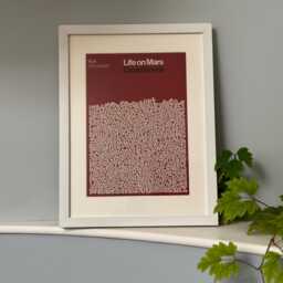 Life On Mars David Bowie By James Earnshaw Genuine Reign/Hail Print Framed White - thumbnail 2