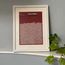 Life On Mars David Bowie By James Earnshaw Genuine Reign/Hail Print Framed White - thumbnail 3