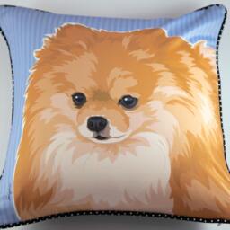 Pomeranian Pillow - thumbnail 2