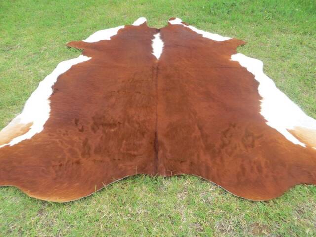 Hereford Redish Brown Large New Cowhide Rug Natural Hair On - 7x7 Ft Size Extra Tri-Color Redish Tones Soft Carpet Cow Hide 6x6 W-Hr - image 1
