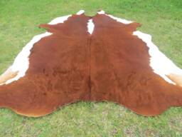 Hereford Redish Brown Large New Cowhide Rug Natural Hair On - 7x7 Ft Size Extra Tri-Color Redish Tones Soft Carpet Cow Hide 6x6 W-Hr - thumbnail 1